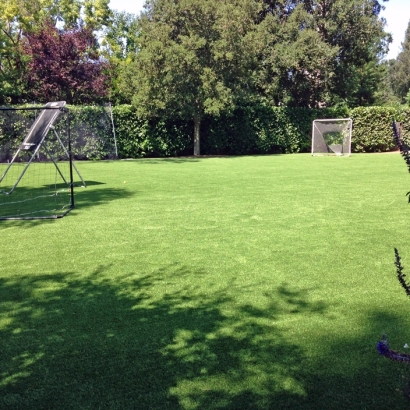 Fake Grass School Stadium Julian California Front Yard