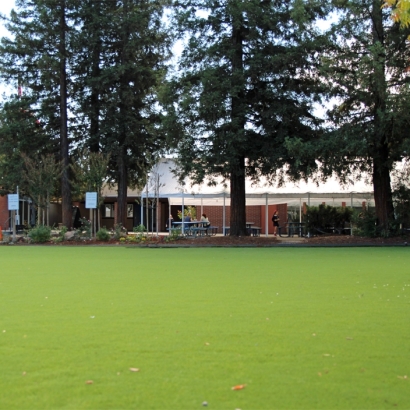 Fake Grass Yorba Linda California Kindergarten Back Yard