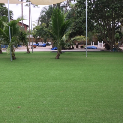 Fake Lawn Bostonia, California Rooftop, Commercial Landscape