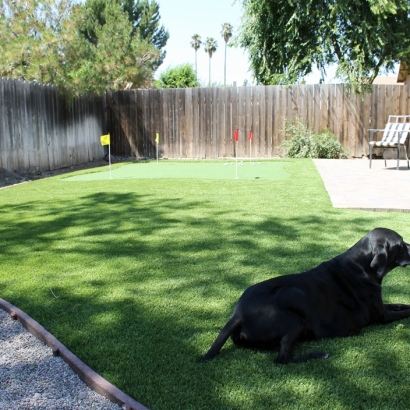 Fake Pet Grass La Habra California for Dogs