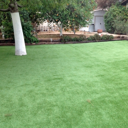 Fake Turf Alpine Village California Landscape Front Yard