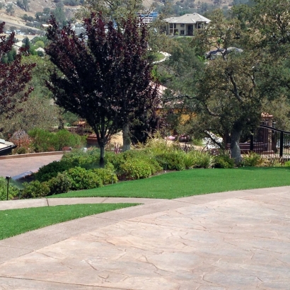 Fake Turf El Cerrito California Landscape Back Yard