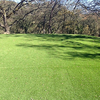 Fake Turf Long Beach California Lawn