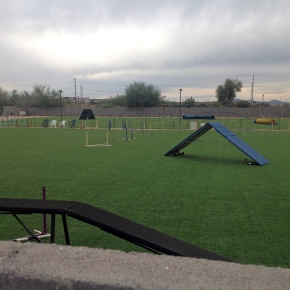 Fake Turf School Stadium Lake Forest California Front Yard