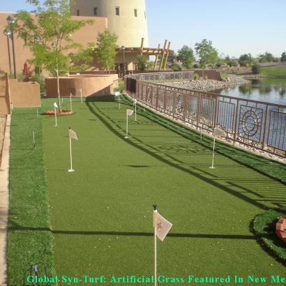 Golf Putting Greens National City California Artificial Turf