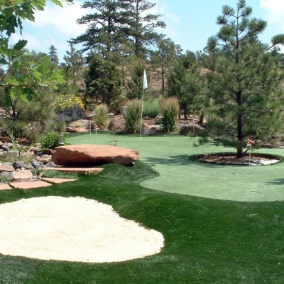 Golf Putting Greens Oak Glen California Synthetic Grass Back