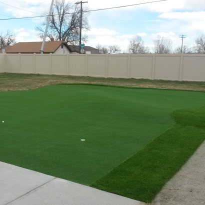 Plastic Grass Imperial Beach, California Golf Green, Backyard Garden Ideas