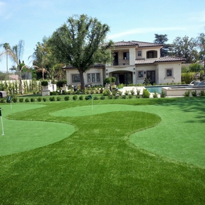 Putting Greens Garnet California Synthetic Grass Back Yard