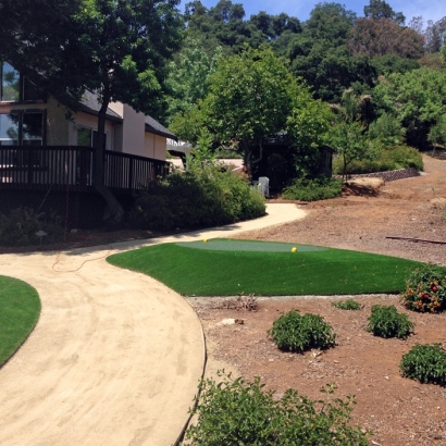 Putting Greens Glen Avon California Artificial Grass Back