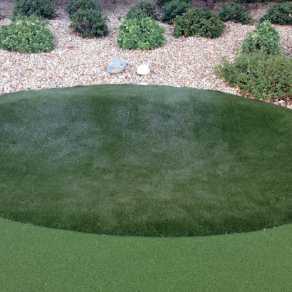 Putting Greens Home Gardens California Synthetic Turf Front