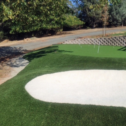 Putting Greens Santee California Fake Grass Back Yard