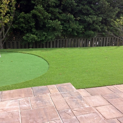 Putting Greens Thermal California Synthetic Turf Back Yard