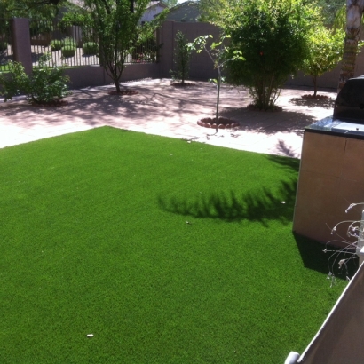 Synthetic Animal Shelter Calexico California Installation