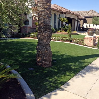Synthetic Grass Alpine California Landscape Back Yard