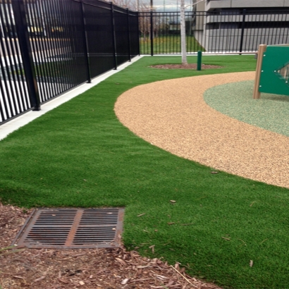 Synthetic Grass Banning California Kids Care Back Yard