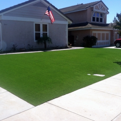 Synthetic Grass Bonsall California Lawn Back Yard