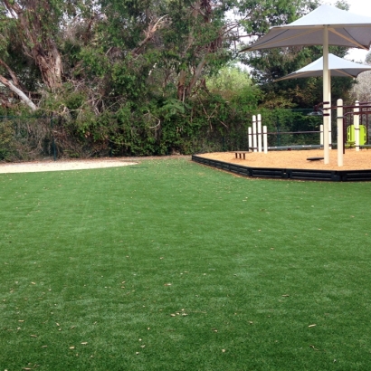 Synthetic Grass Green Acres California Playgrounds Back
