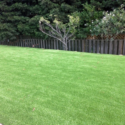 Synthetic Grass Huntington Beach California Lawn Parks