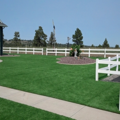 Synthetic Grass Laguna Beach California Landscape Front