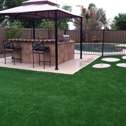 Synthetic Grass Lakeside California Landscape Back Yard