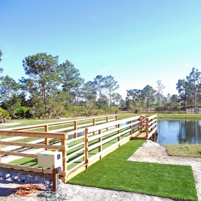 Synthetic Grass Las Flores California Landscape Front Yard