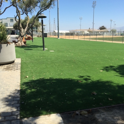 Synthetic Grass Oceanside, California Home And Garden, Parks