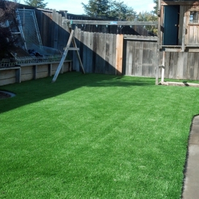 Synthetic Grass Perris California Landscape