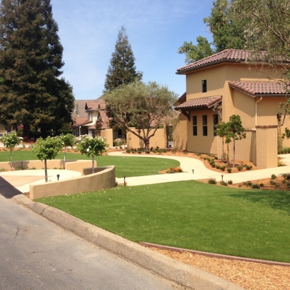 Synthetic Grass Pine Valley California Landscape Back Yard