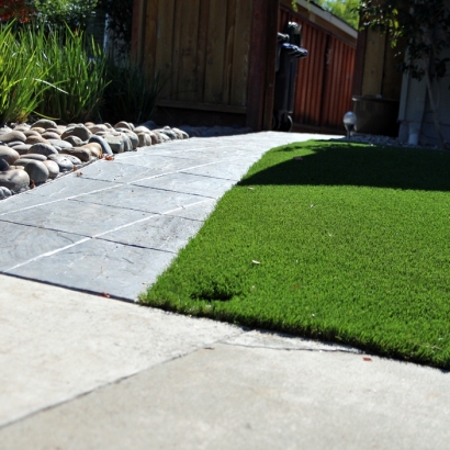 Synthetic Grass Salton Sea Beach California Lawn Back Yard