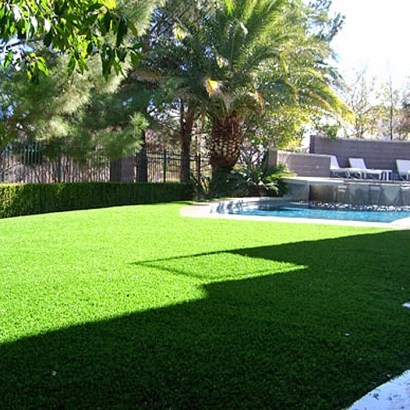 Synthetic Grass San Pedro California Lawn