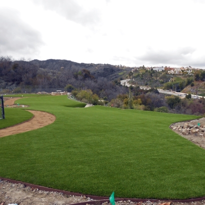 Synthetic Grass Sports Aliso Viejo California Back Yard