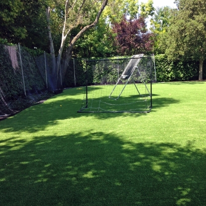 Synthetic Grass Sports Ocotillo California Back Yard