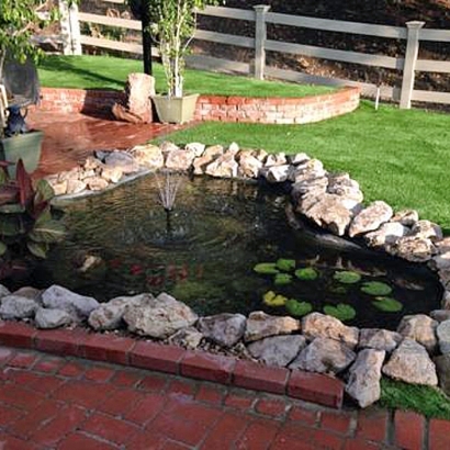 Synthetic Grass Stanton California Lawn Back Yard
