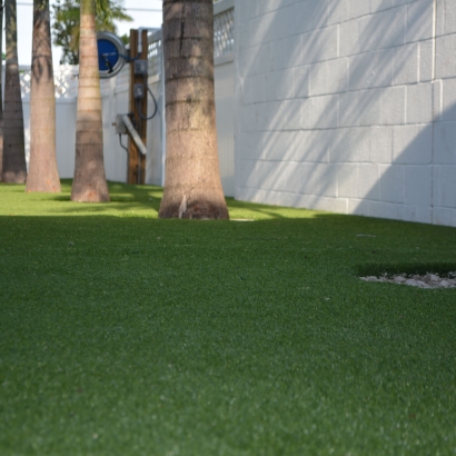 Synthetic Grass Winter Gardens, California Design Ideas, Commercial Landscape