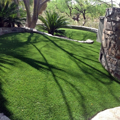 Synthetic Pet Turf La Quinta California for Dogs Back Yard