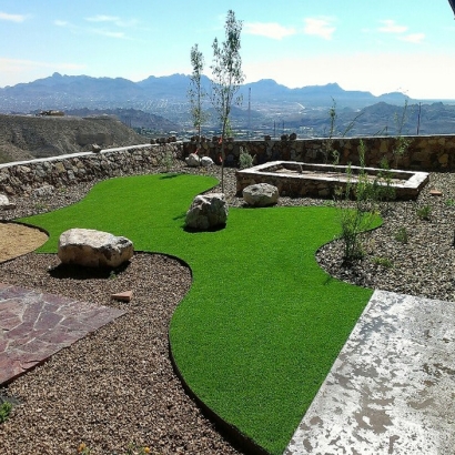 Synthetic Pet Turf Mission Viejo California for Dogs Back