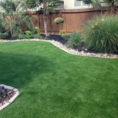 Synthetic Pets Areas Sun City California for Dogs Back Yard