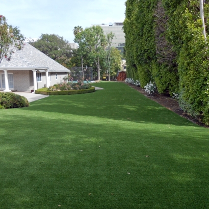 Synthetic Pets Areas Trabuco Canyon California Installation