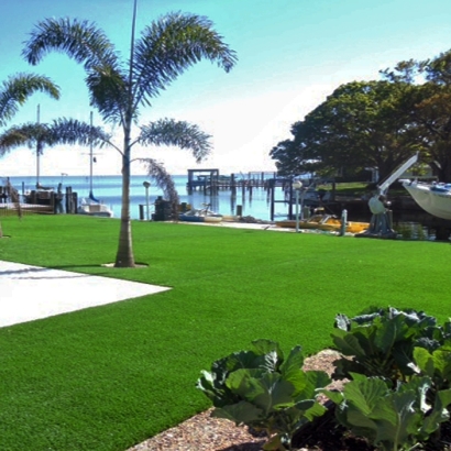 Synthetic Turf Aguanga California Lawn Front Yard
