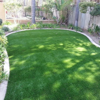 Synthetic Turf Casa de Oro-Mount Helix, California Landscape Photos