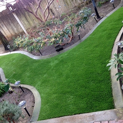 Synthetic Turf Colton California Lawn