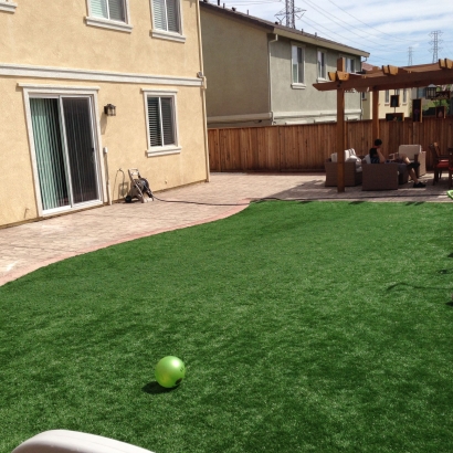 Synthetic Turf Descanso, California Landscaping, Beautiful Backyards