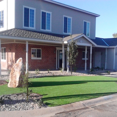 Synthetic Turf Imperial Beach California Landscape