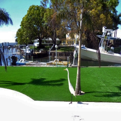 Synthetic Turf La Mesa California Lawn Front Yard