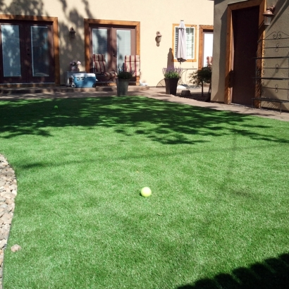 Synthetic Turf Lakeland Village California Lawn Back Yard