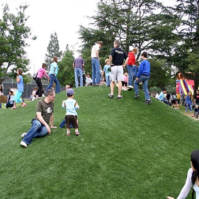 Synthetic Turf Mountain Center California Playgrounds Pavers