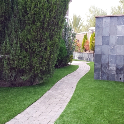 Synthetic Turf Murrieta Hot Springs California Landscape