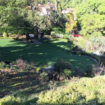 Synthetic Turf San Pedro California Landscape