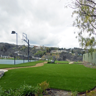 Synthetic Turf Sports Fields Valle Vista California Swimming