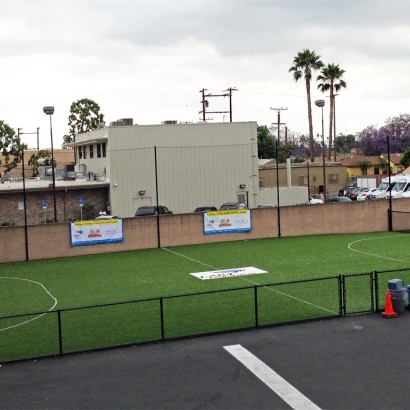 Synthetic Turf Sports Granite Hills California Pools Back